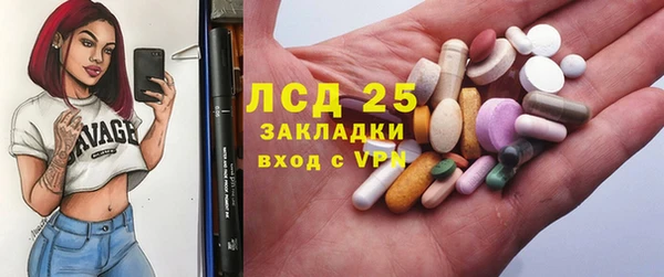 ПСИЛОЦИБИНОВЫЕ ГРИБЫ Бородино