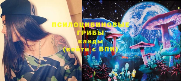 ПСИЛОЦИБИНОВЫЕ ГРИБЫ Бородино