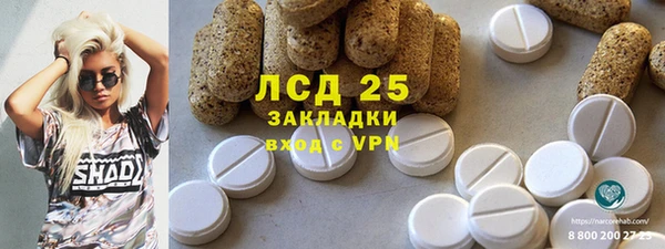 ПСИЛОЦИБИНОВЫЕ ГРИБЫ Бородино